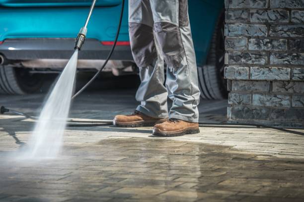 Animal Enclosure Cleaning in Country Squire Lakes, IN