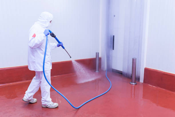 Best Building Exterior Washing  in Country Squire Lakes, IN